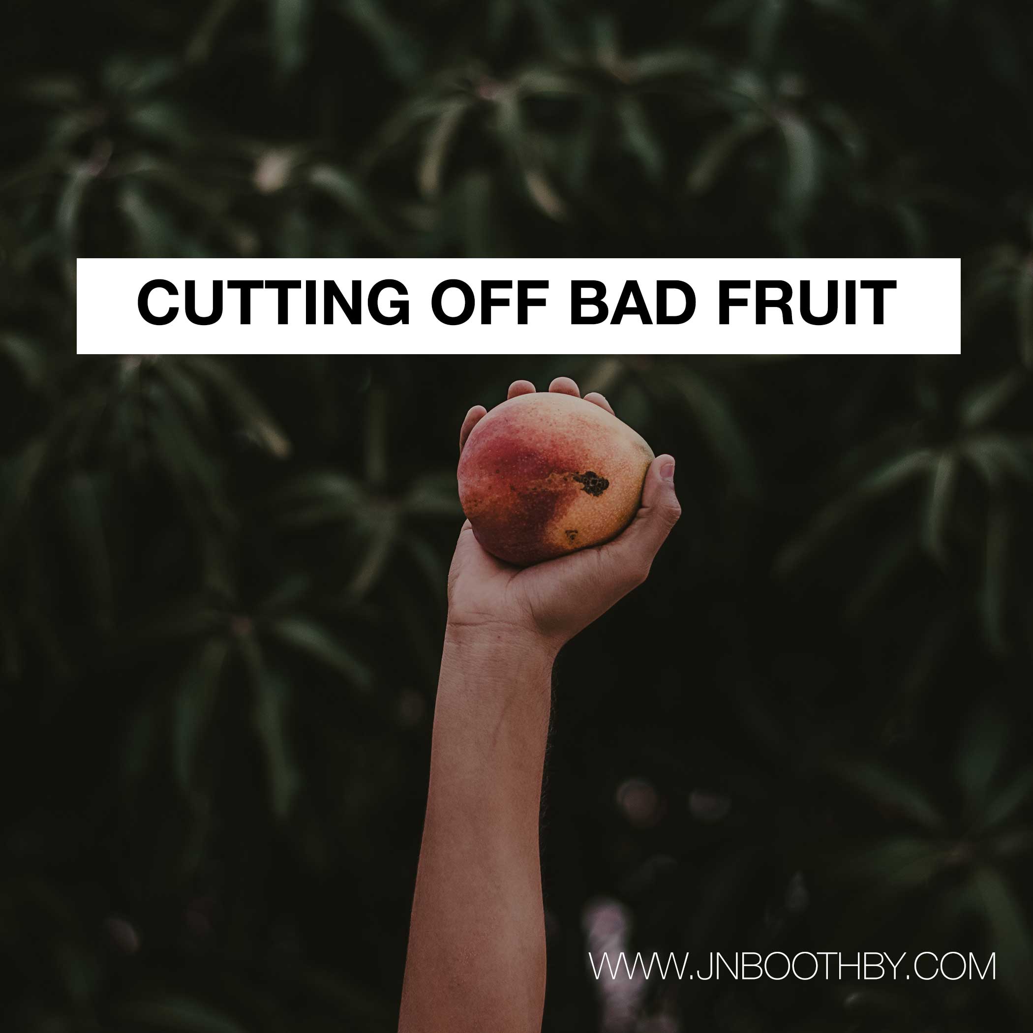 cutting-off-bad-fruit