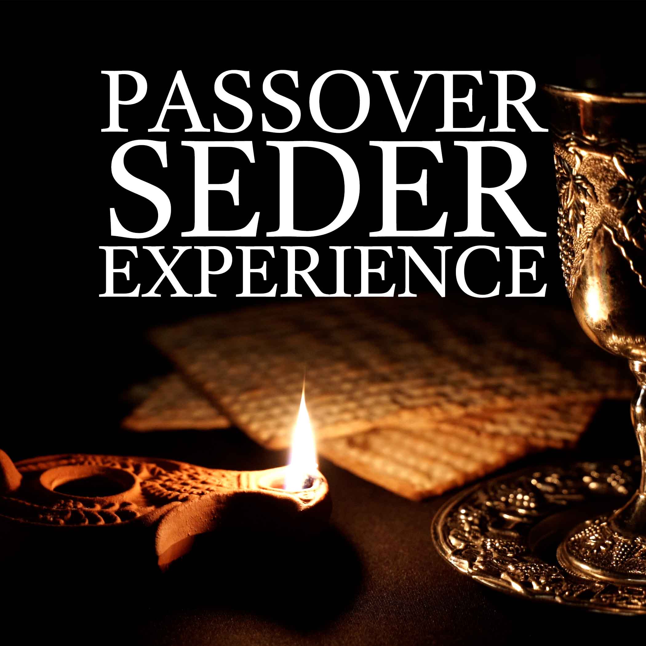 passover seder experience